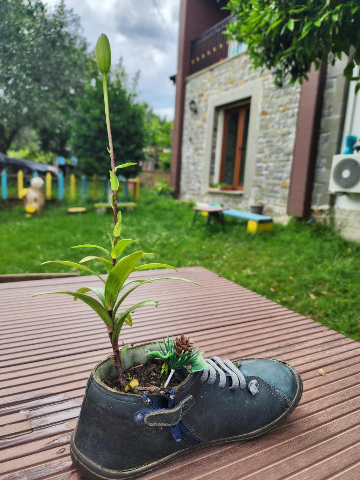 Villa Shuaipaj Gjirokastër Exteriör bild